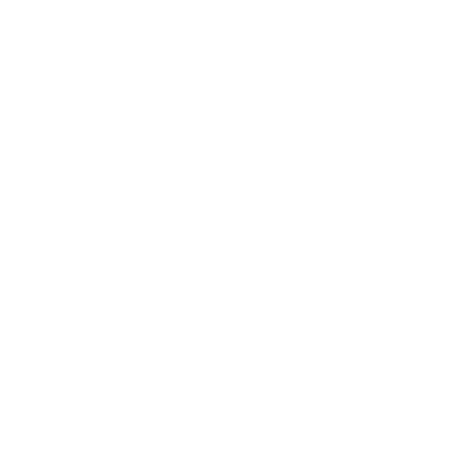 roof icon